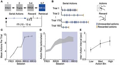 Networks of VTA Neurons Encode Real-Time Information about Uncertain Numbers of Actions Executed to Earn a Reward